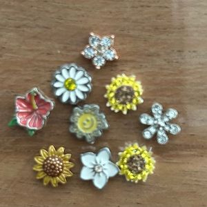 Set of nine (9) Origami Owl charms